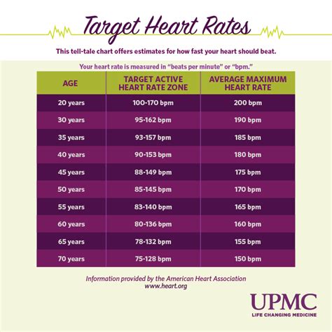 how hard should heart beat in stress test|normal pulse rate under stress test.